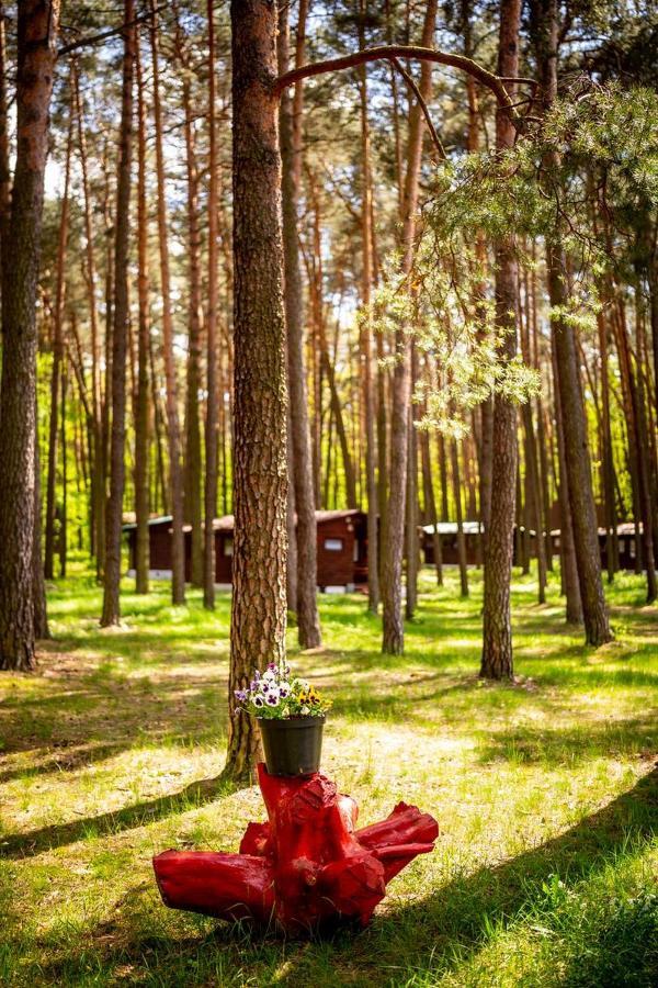 Aura Grotniki Hotel Grotniki  Bagian luar foto
